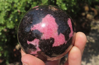 Polished Rhodonite Spheres x 3 From Ambindavato, Madagascar