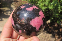 Polished Rhodonite Spheres x 3 From Ambindavato, Madagascar