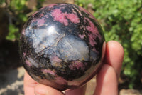 Polished Rhodonite Spheres x 3 From Ambindavato, Madagascar