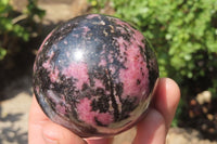 Polished Rhodonite Spheres x 3 From Ambindavato, Madagascar