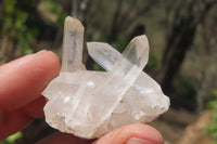 Natural Clear Quartz Crystal Clusters x 35 From Madagascar