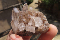 Natural Clear Quartz Crystal Clusters x 35 From Madagascar