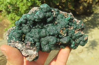 Natural Ball Malachite On Quartz Matrix Specimen x 1 From Kambove, Congo