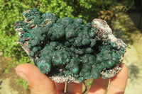 Natural Ball Malachite On Quartz Matrix Specimen x 1 From Kambove, Congo