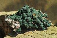 Natural Ball Malachite On Quartz Matrix Specimen x 1 From Kambove, Congo