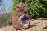 Natural Zululand Amethyst Geodes x 6 from Jozini, South Africa