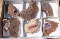 Natural Zululand Amethyst Geodes x 6 from Jozini, South Africa