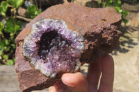 Natural Zululand Amethyst Geodes x 6 from Jozini, South Africa