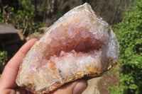 Natural Zululand Amethyst Geodes x 6 from Jozini, South Africa