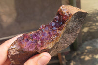 Natural Zululand Amethyst Geodes x 6 from Jozini, South Africa