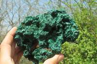 Natural Silky Malachite Specimen x 1 From Kasompe, Congo