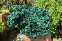 Natural Silky Malachite Specimen x 1 From Kasompe, Congo