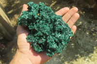 Natural Silky Malachite Specimen x 1 From Kasompe, Congo