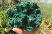 Natural Silky Malachite Specimen x 1 From Kasompe, Congo