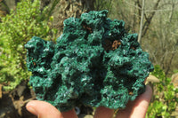 Natural Silky Malachite Specimen x 1 From Kasompe, Congo