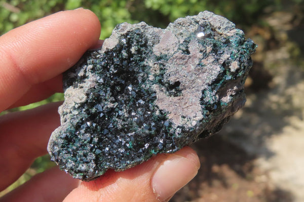 Natural Libethenite Crystals On Dolomite Matrix Specimens x 6 From Shituru, Congo