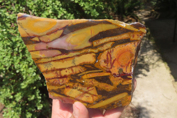 Polished On One Side Nguni Jasper Specimens x 2 From Prieska, South Africa