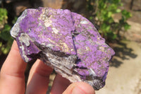 Natural Metallic Purpurite Cobbed Specimens x 6 From Erongo, Namibia