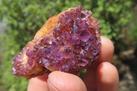 Natural Amethystos Amethyst Specimens x 35 From Kwaggafontein, South Africa