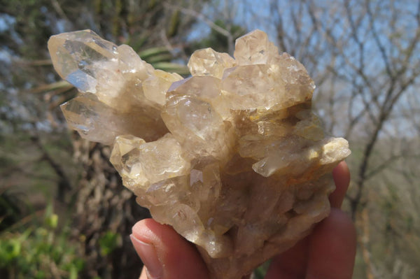 Natural Cascading Quartz Clusters x 6 From Luena, Congo