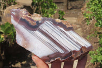 Polished Red Sashe River Agate Nodules x 3 From Zimbabwe