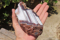 Polished Red Sashe River Agate Nodules x 3 From Zimbabwe