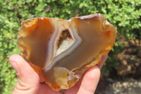 Polished Red Sashe River Agate Nodules x 3 From Zimbabwe