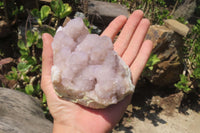 Natural Amethyst Spirit Quartz Clusters x 2 From Boekenhouthoek, South Africa