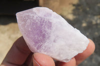 Natural Jacaranda Amethyst Crystals x 12 From Zambia