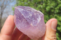 Natural Jacaranda Amethyst Crystals x 12 From Zambia