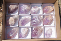 Natural Jacaranda Amethyst Crystals x 12 From Zambia