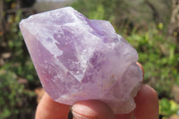 Natural Jacaranda Amethyst Crystals x 12 From Zambia