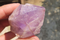 Natural Jacaranda Amethyst Crystals x 12 From Zambia