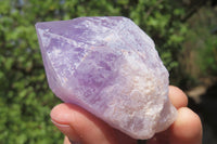 Natural Jacaranda Amethyst Crystals x 12 From Zambia