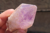 Natural Jacaranda Amethyst Crystals x 12 From Zambia