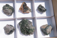 Natural Libethenite Crystals On Dolomite Matrix Specimens x 6 From Shituru, Congo