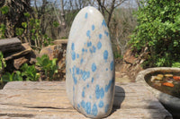 Polished Blue Spinel Spotted Quartz Standing Free Form x 1 From Madagascar