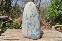 Polished Blue Spinel Spotted Quartz Standing Free Form x 1 From Madagascar