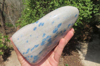 Polished Blue Spinel Spotted Quartz Standing Free Form x 1 From Madagascar