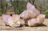 Natural Ametrine Spirit Quartz Clusters x 12 From Boekenhouthoek, South Africa