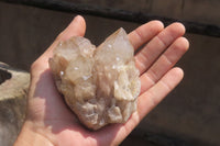 Natural Cascading Quartz Clusters x 6 From Luena, Congo