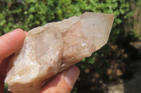 Natural Cascading Quartz Clusters x 6 From Luena, Congo