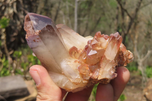 Natural Red Hematoid Quartz Clusters x 6 From Karoi, Zimbabwe