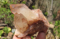 Natural Red Hematoid Quartz Clusters x 6 From Karoi, Zimbabwe