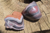 Polished Red Sashe River Agate Nodules x 12 From Zimbabwe