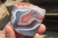 Polished Red Sashe River Agate Nodules x 12 From Zimbabwe