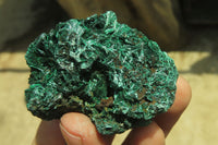 Natural Silky Malachite Specimens x 12 From Kasompe, Congo