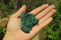 Natural Silky Malachite Specimens x 12 From Kasompe, Congo