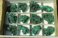 Natural Silky Malachite Specimens x 12 From Kasompe, Congo