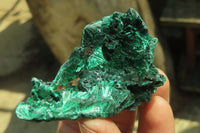 Natural Silky Malachite Specimens x 12 From Kasompe, Congo